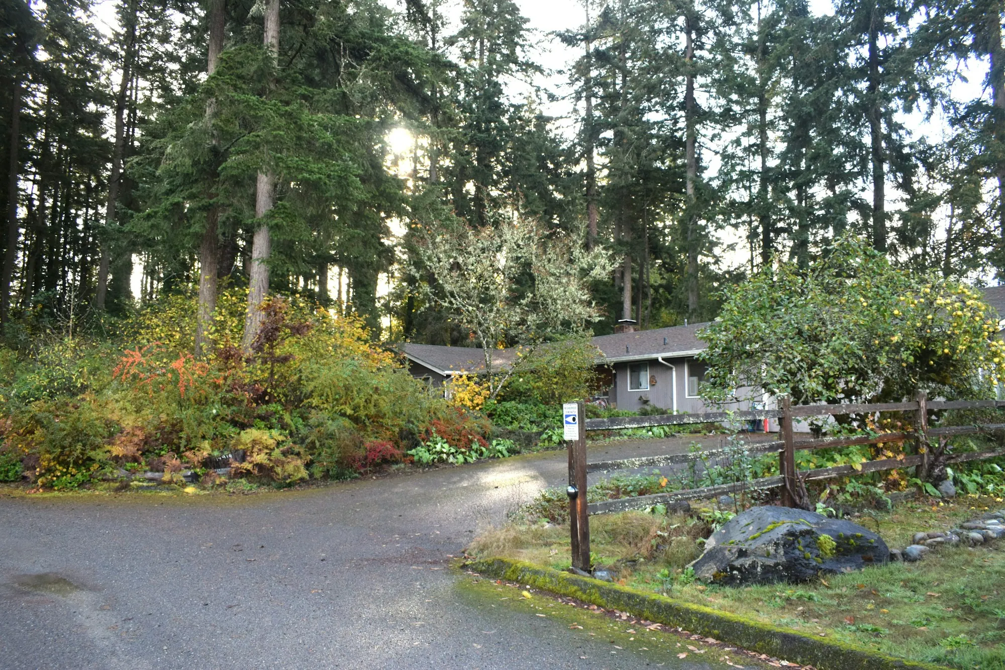 A wooded residential road with homes set back among trees