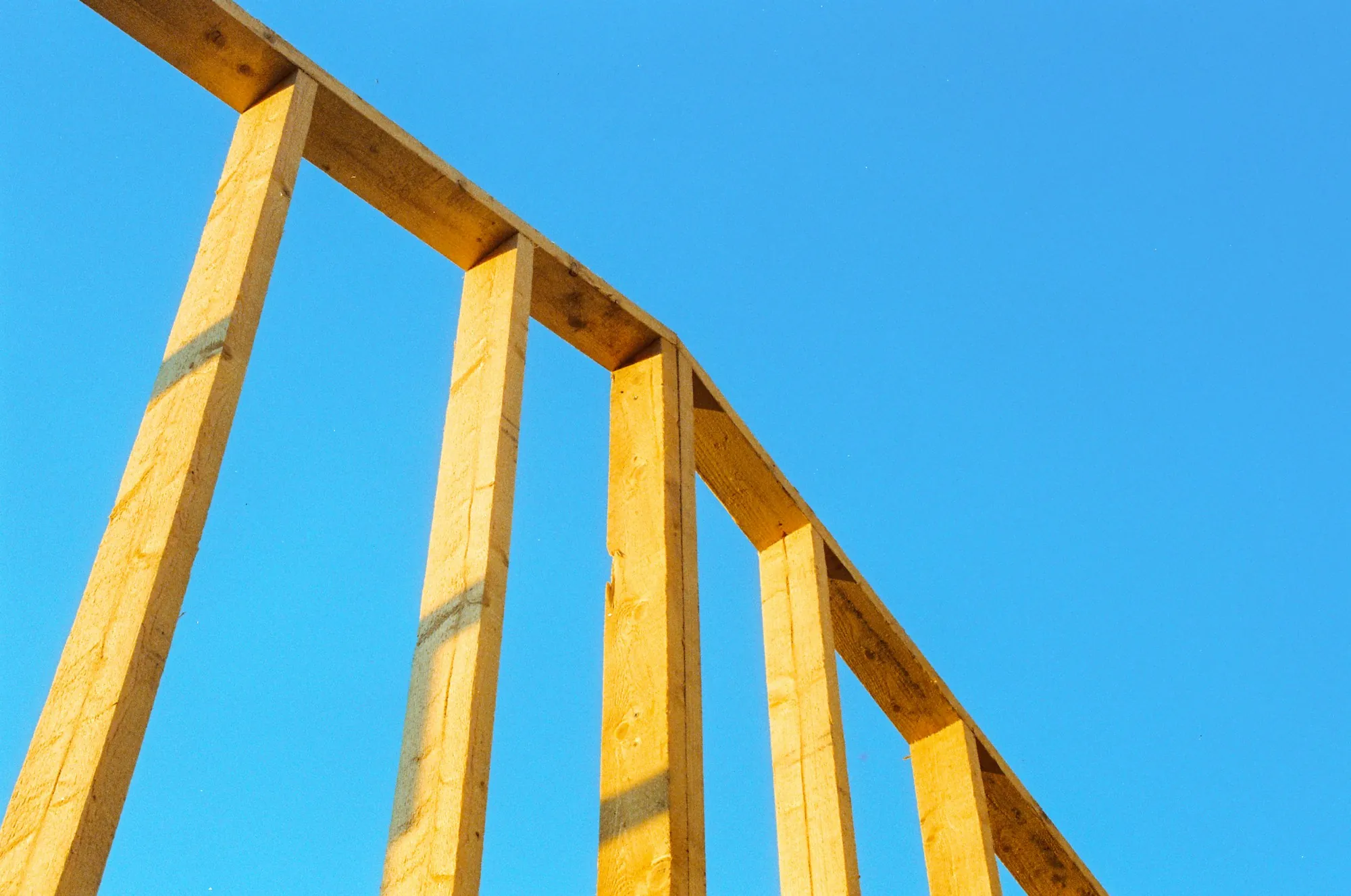 Timber framing against a clear sky