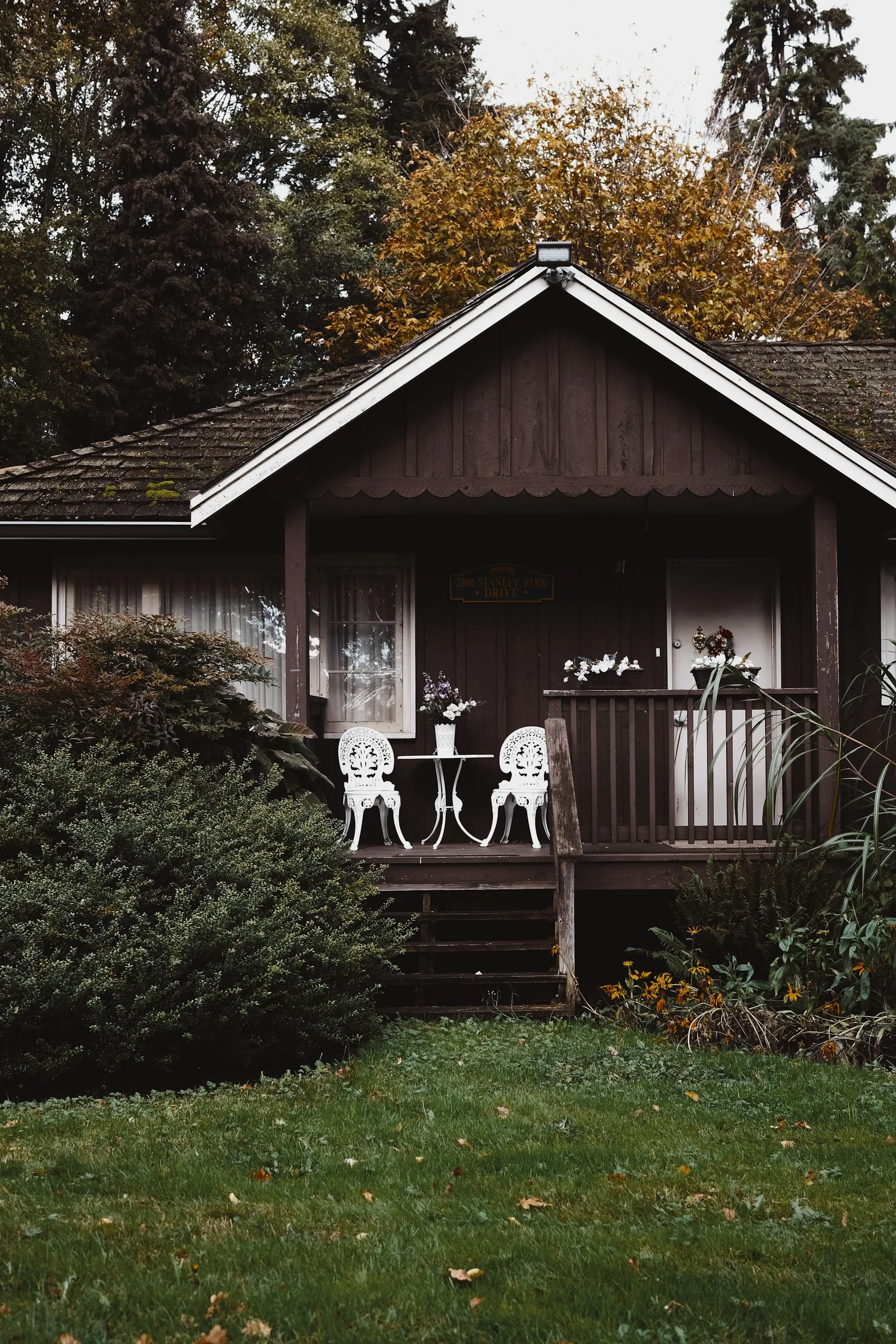 Dark wooden cottage with a front porch set among trees and shrubs