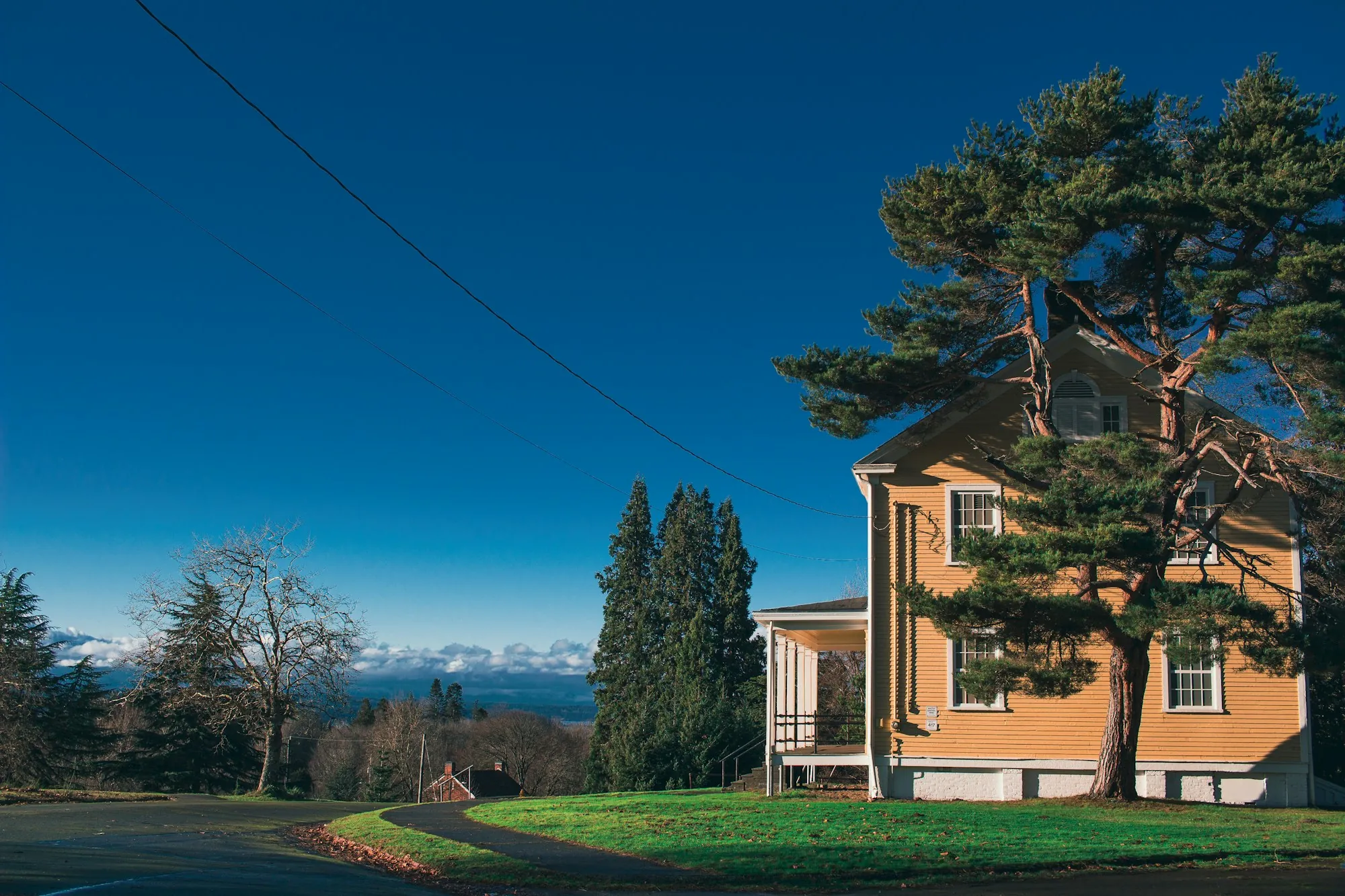 A Pacific Northwest home on a hillside with conifers behind